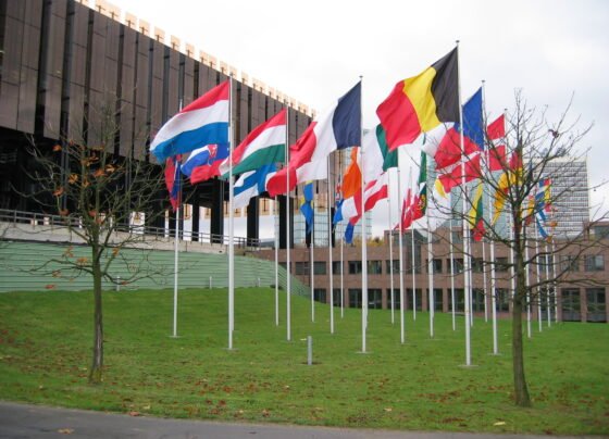european court of justice (ecj) in luxembourg with flags 0017 (1674479483) 5